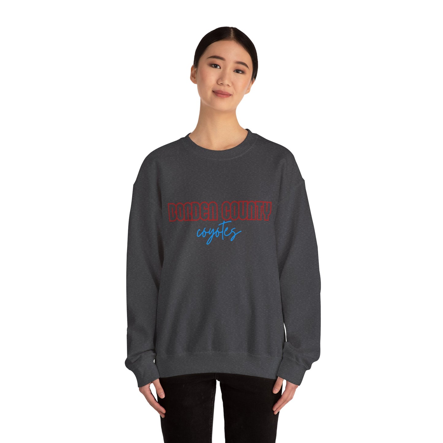 Borden County Coyotes Sweatshirt - Retro Pastel Crewneck