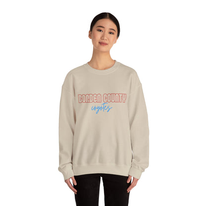 Borden County Coyotes Sweatshirt - Retro Pastel Crewneck
