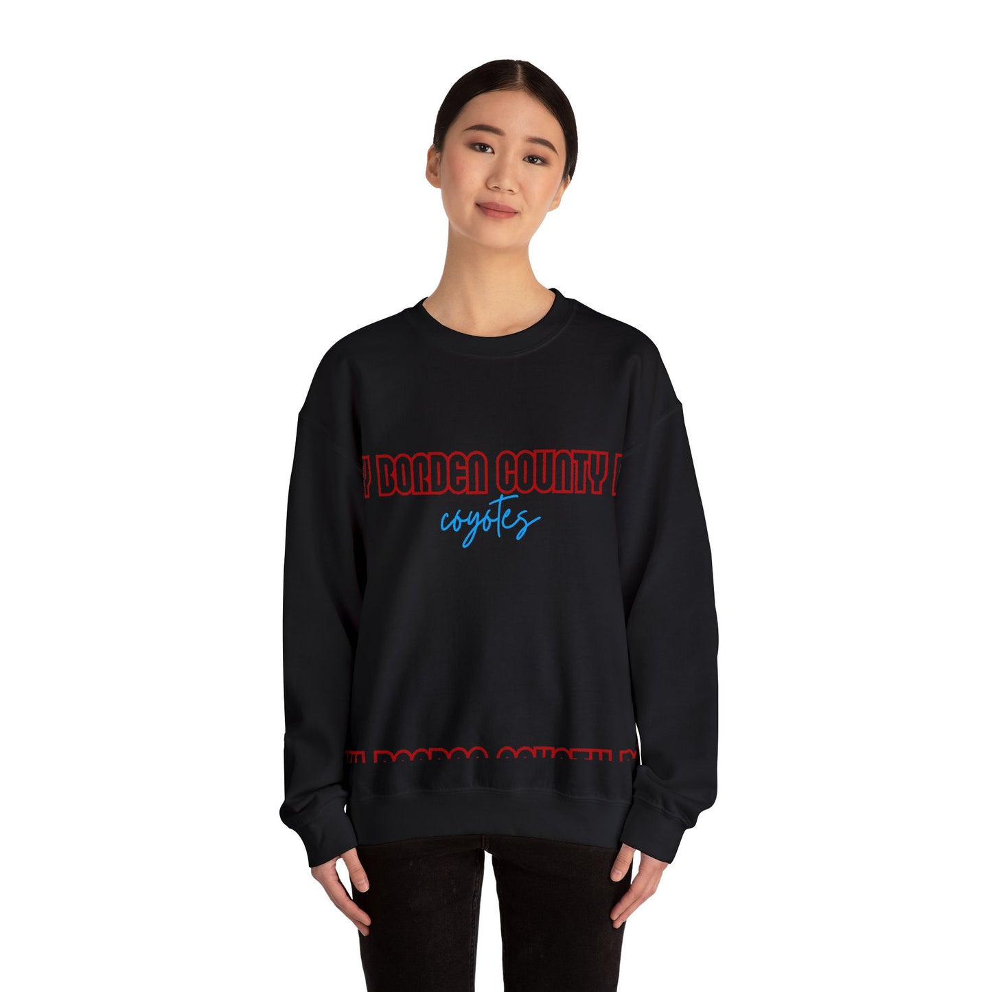 Borden County Coyotes Sweatshirt - Retro Pastel Crewneck