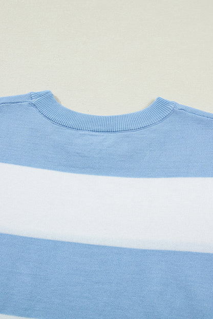 Sky Blue Stripe Colorblock Striped Knitted T shirt
