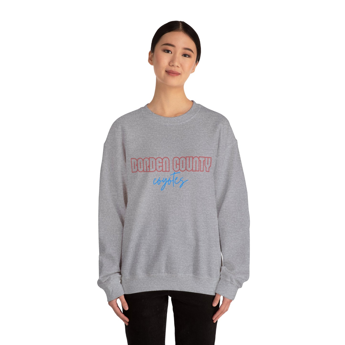 Borden County Coyotes Sweatshirt - Retro Pastel Crewneck